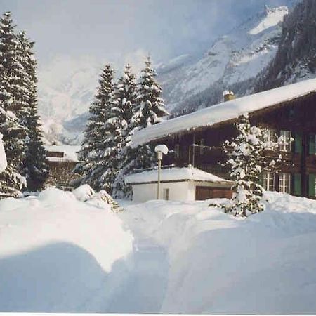 Familienferien Im Chalet Baergli Кандерштег Экстерьер фото