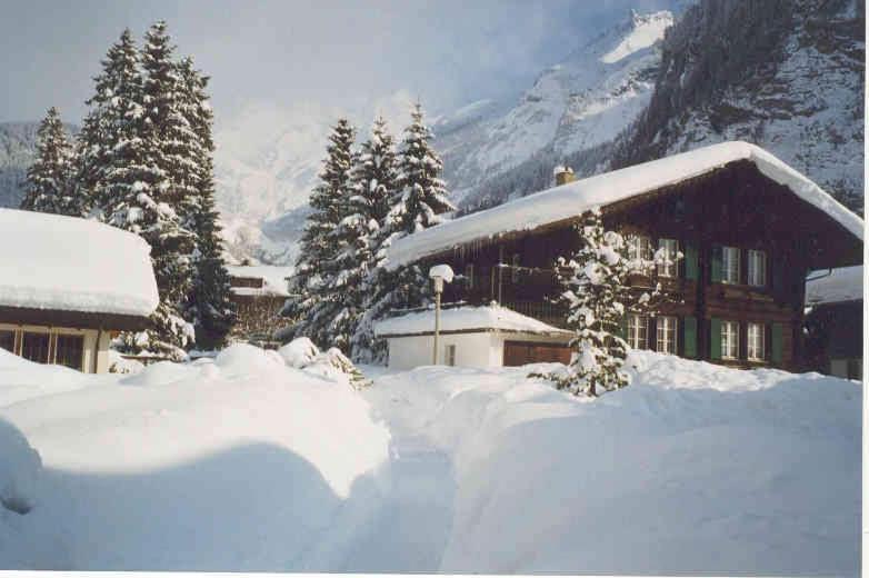 Familienferien Im Chalet Baergli Кандерштег Экстерьер фото